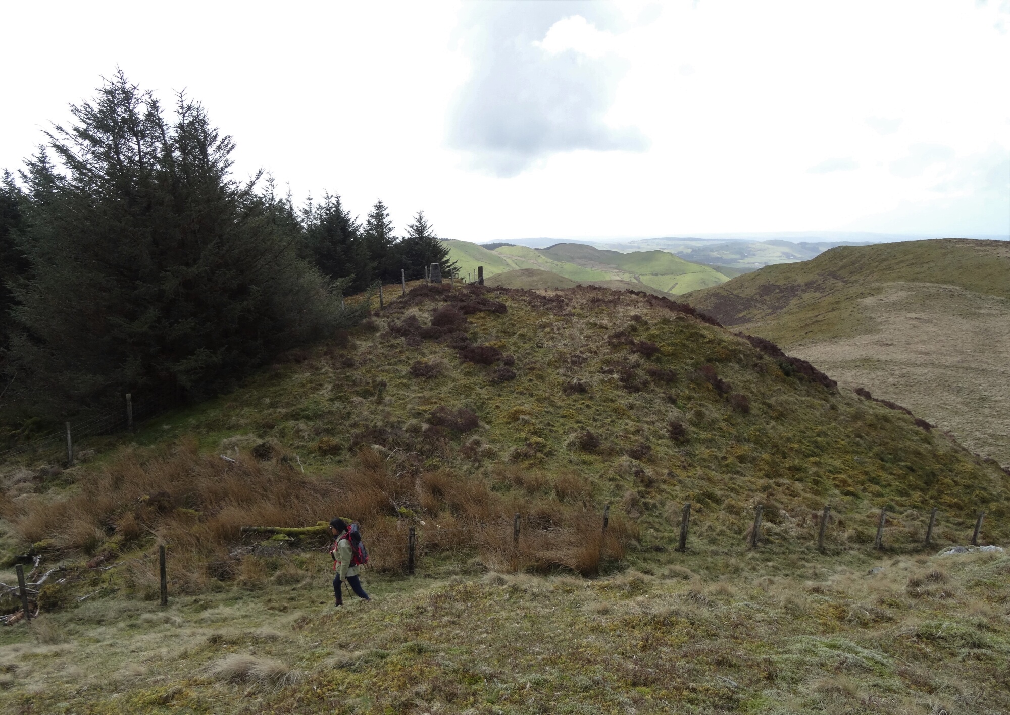 RachelSeabrook.net | Wild Walking | Ponterwyd and Pen Dihewyd | pic18